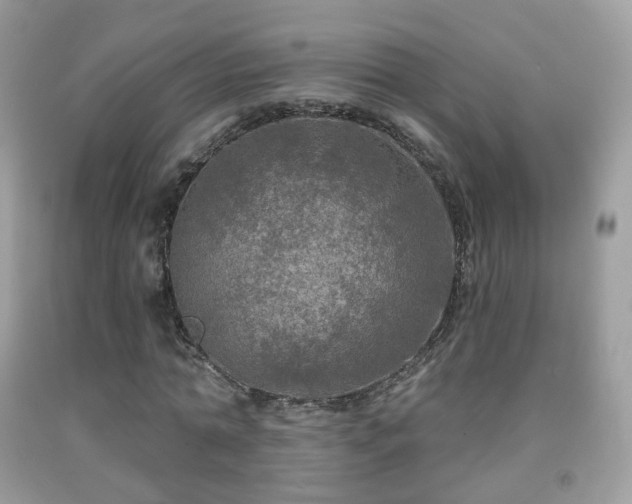 X0000091950774200709061239