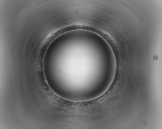 X0000091950776200709061239