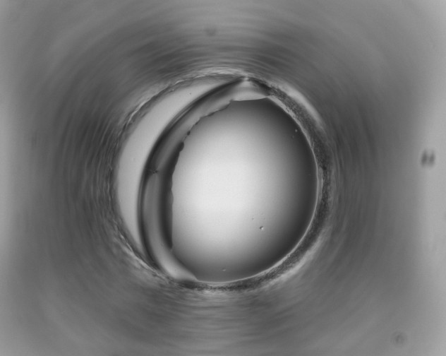 X0000091950777200709061239