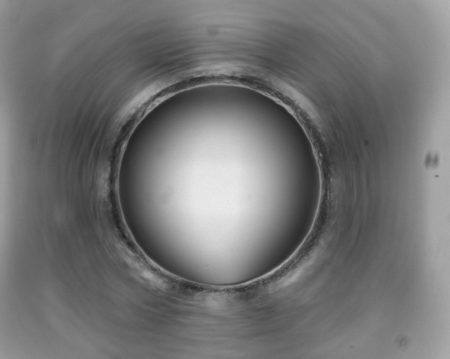 X0000091950778200709061239