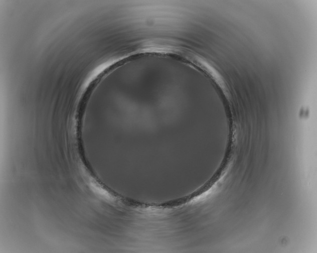 X0000091950779200709061239