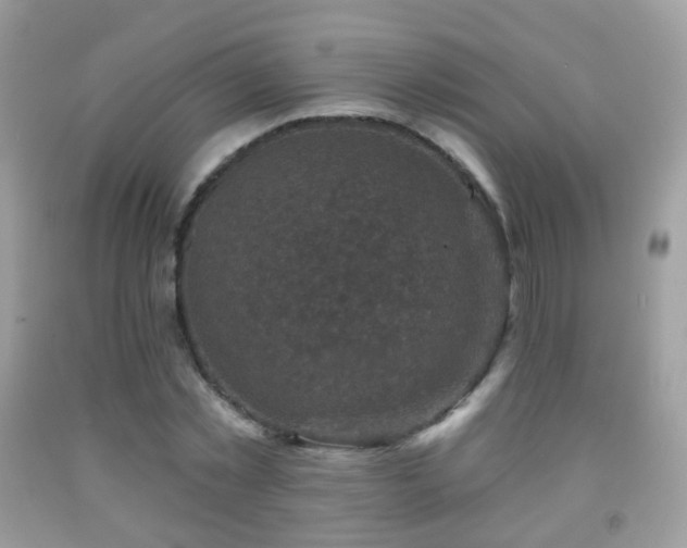 X0000091950781200709061239