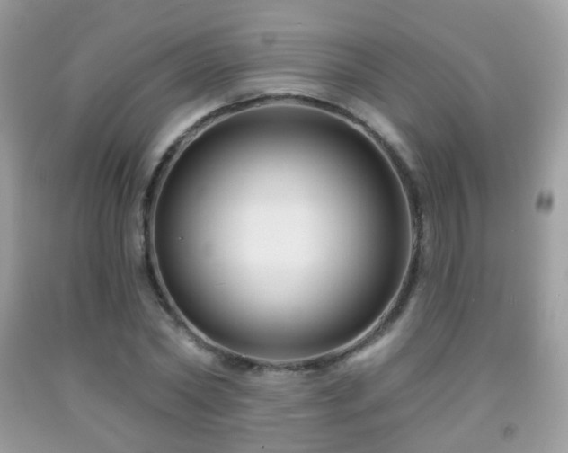 X0000091950782200709061239