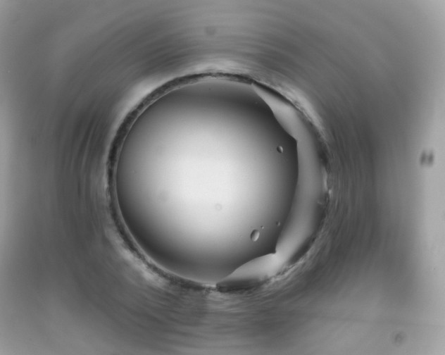 X0000091950784200709061239