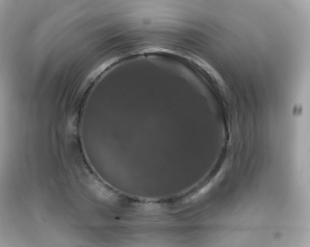 X0000091950785200709061239