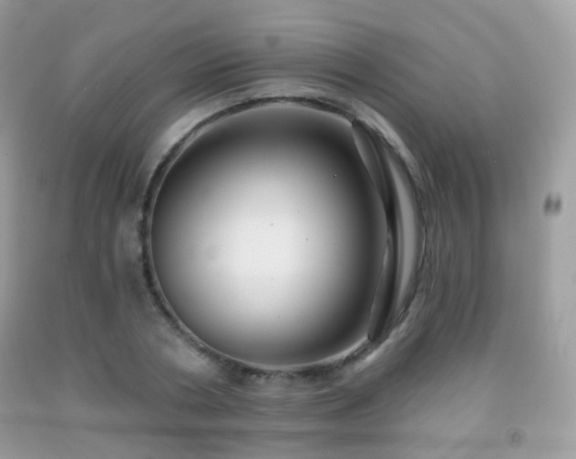 X0000091950786200709061239