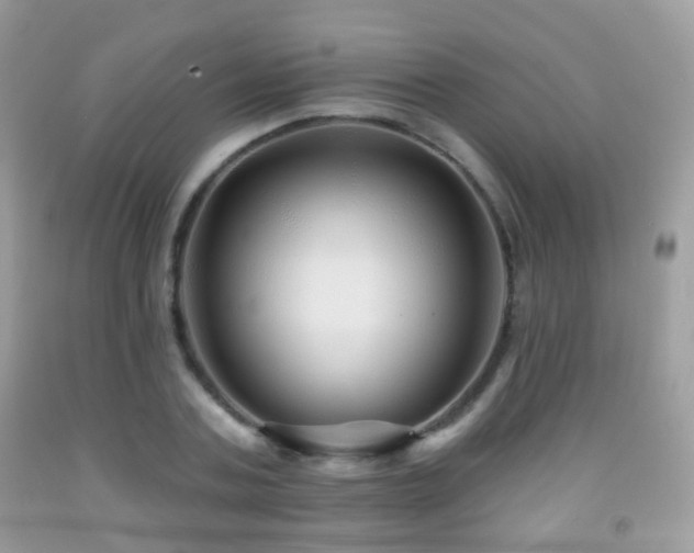 X0000091950787200709061239
