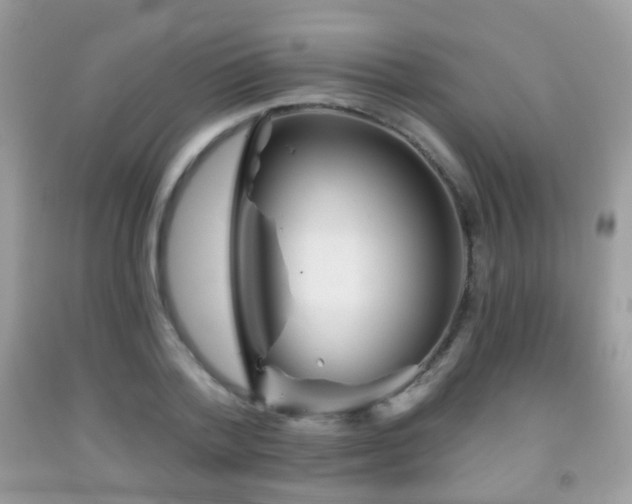 X0000091950788200709061239