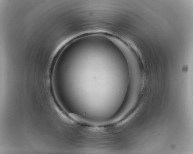 X0000091950789200709061239