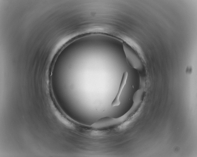 X0000091950792200709061239