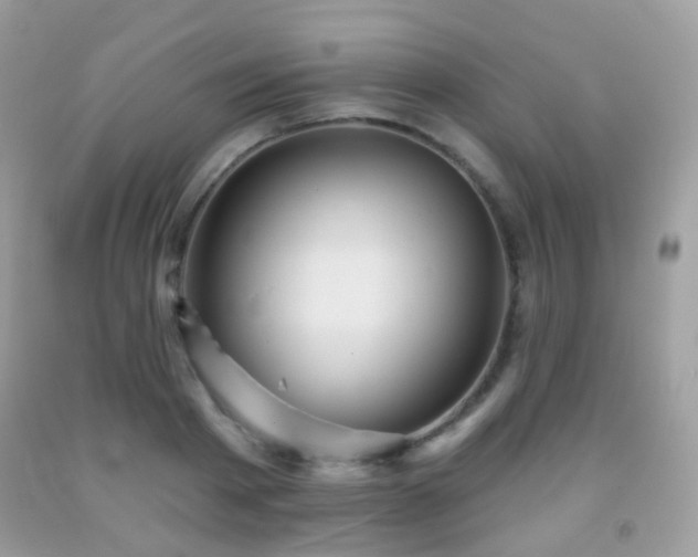 X0000091950793200709061239