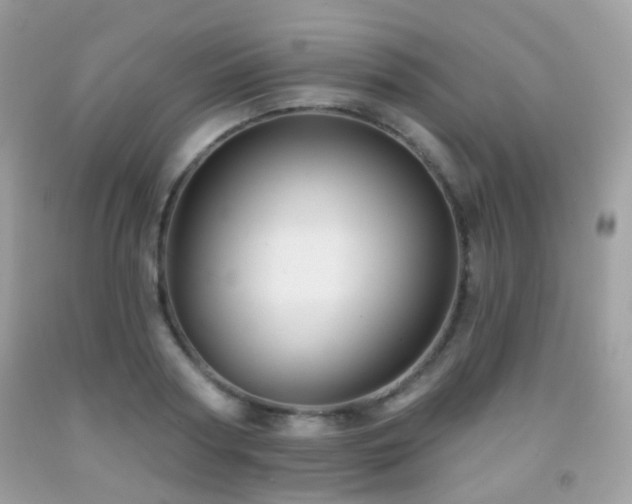 X0000091950794200709061239