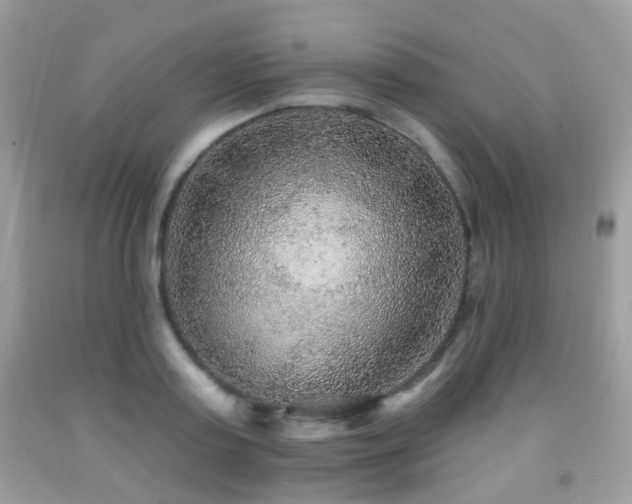 X0000091950795200709061239