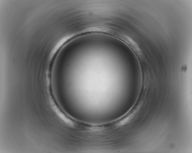 X0000091950796200709061239