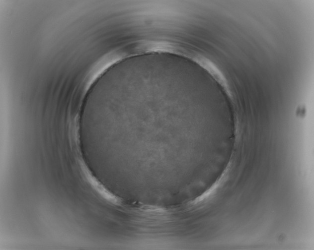 X0000091950798200709061239