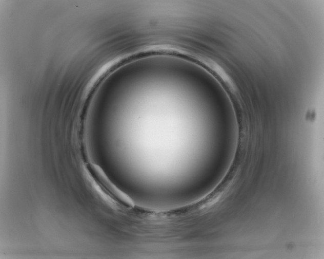 X0000091950799200709061239