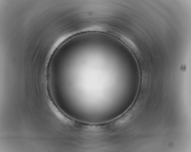 X0000091950800200709061239