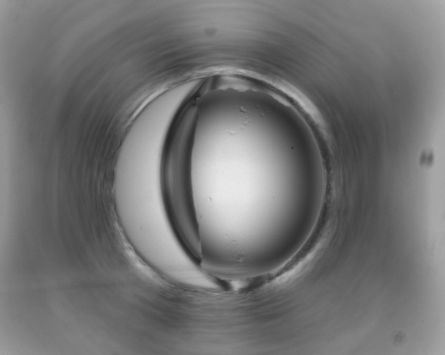 X0000091950801200709061239