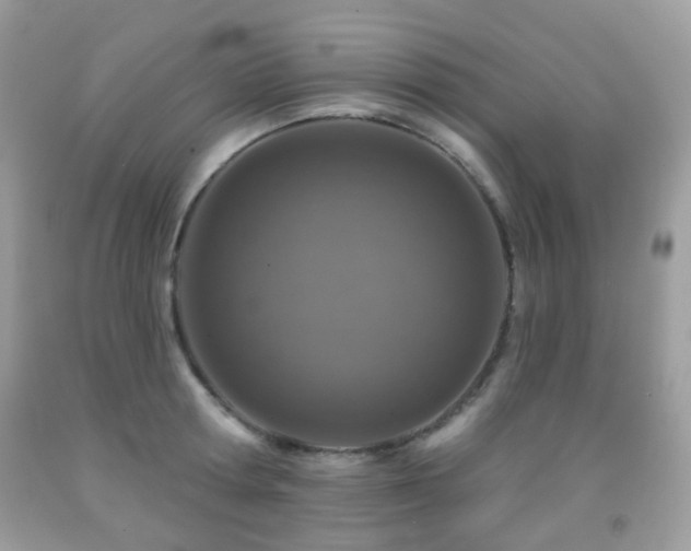 X0000091950802200709061239