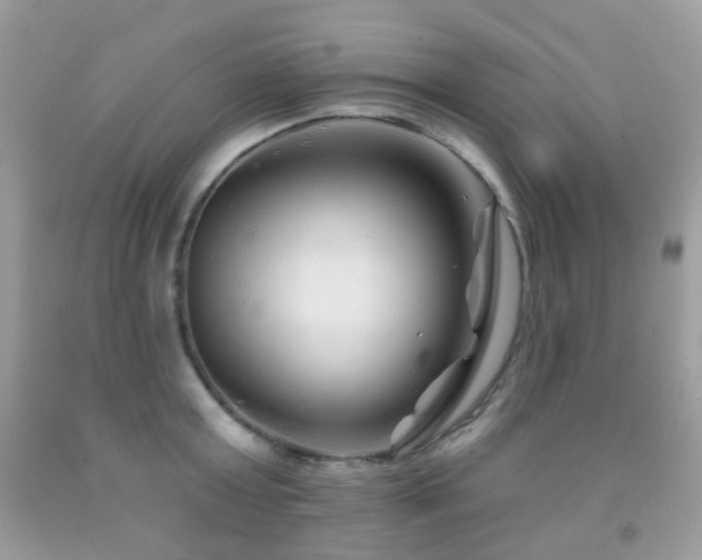 X0000091950803200709061239