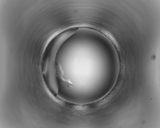 X0000091950805200709061239