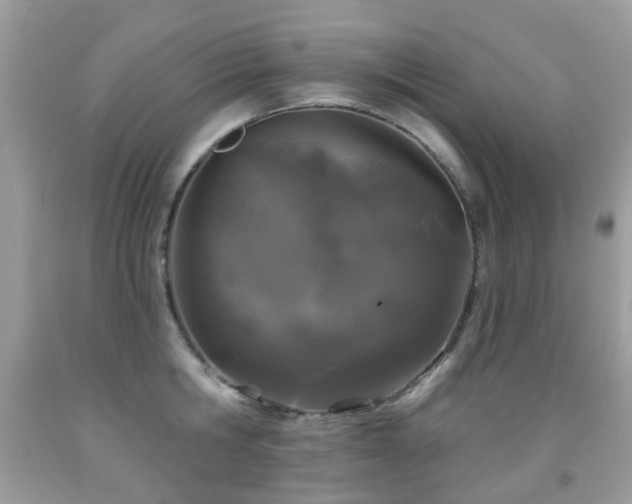 X0000091950806200709061239