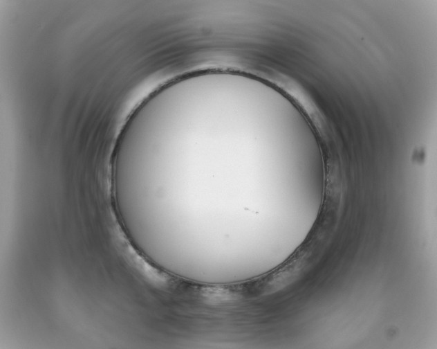 X0000091950807200709061239