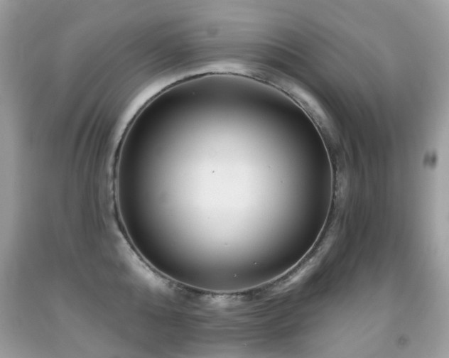 X0000091950808200709061239