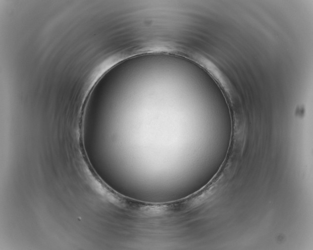X0000091950810200709061239