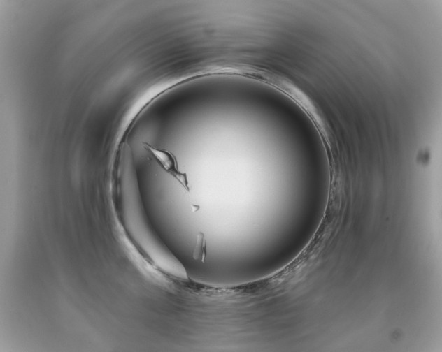 X0000091950811200709061239