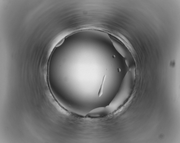 X0000091950812200709061239