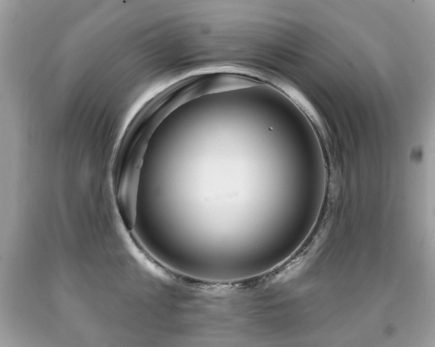 X0000091950813200709061239
