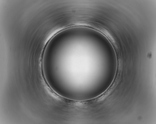 X0000091950814200709061239