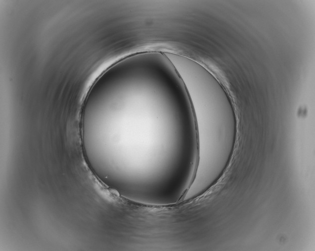 X0000091950816200709061239