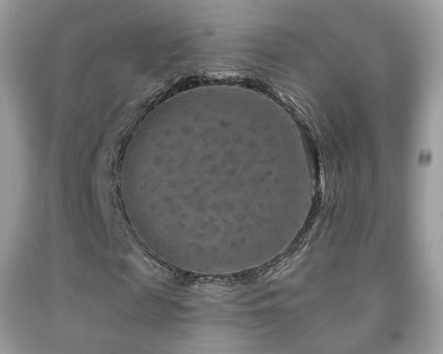 X0000091950817200709061238
