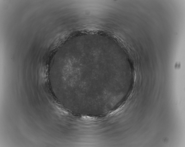 X0000091950818200709061238