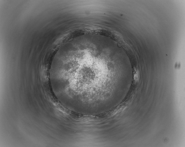 X0000091950819200709061238