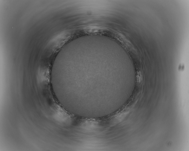 X0000091950820200709061238
