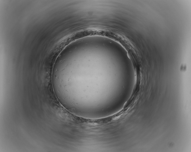 X0000091950821200709061238