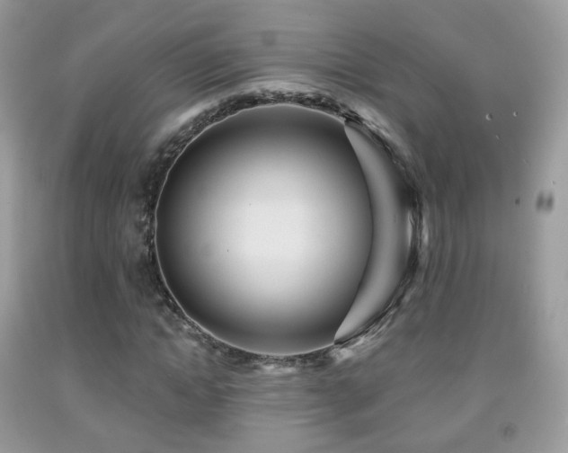 X0000091950822200709061238