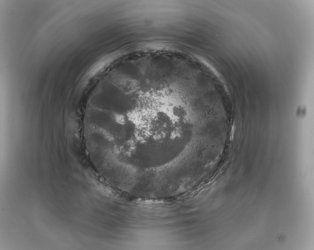 X0000091950823200709061238