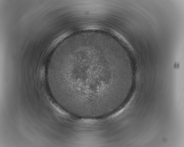 X0000091950825200709061238