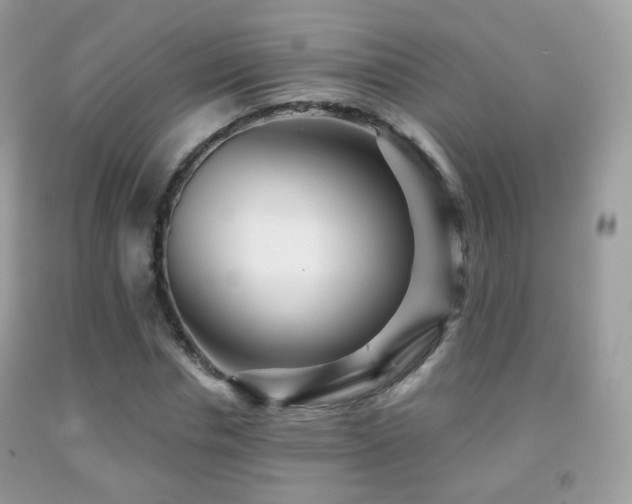X0000091950826200709061238