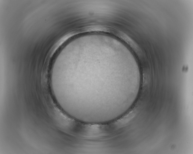 X0000091950828200709061238
