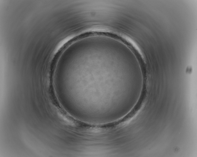 X0000091950829200709061238