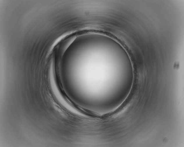 X0000091950830200709061238