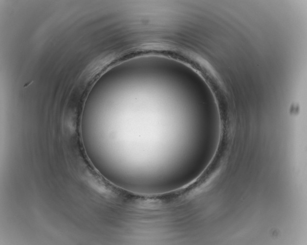 X0000091950833200709061238