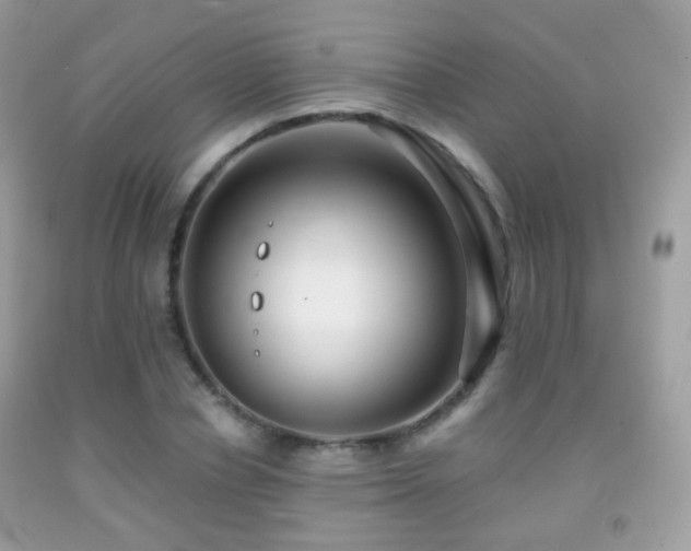 X0000091950834200709061238