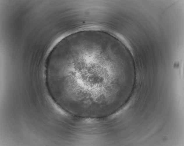 X0000091950835200709061238