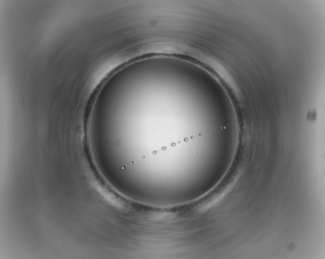 X0000091950837200709061238